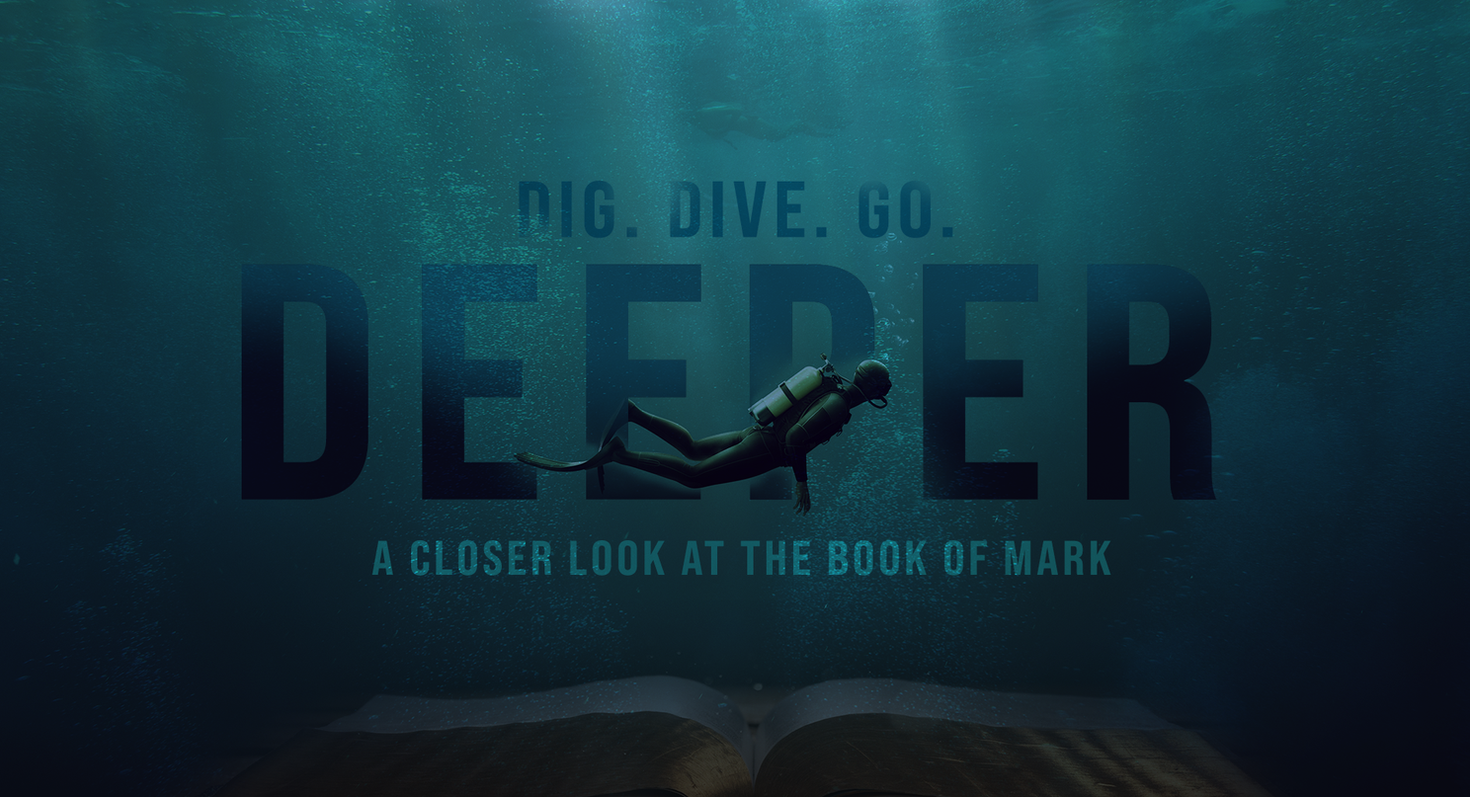 Deeper Trust - Haley Mcdonald